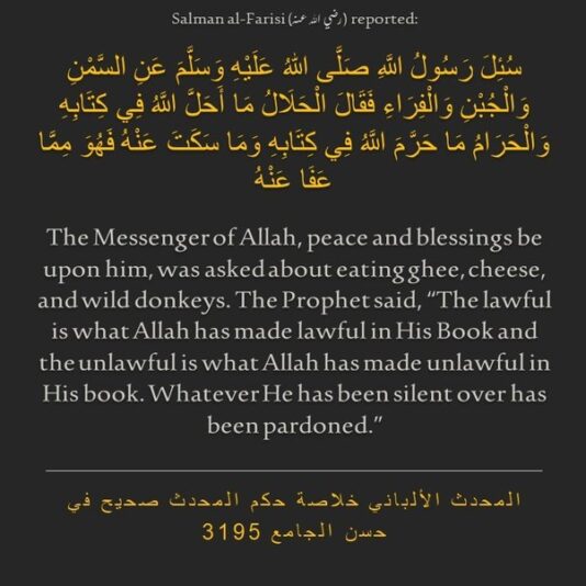 main-qimg-735f2f5373f6afbc4268d7cb85500973-lq