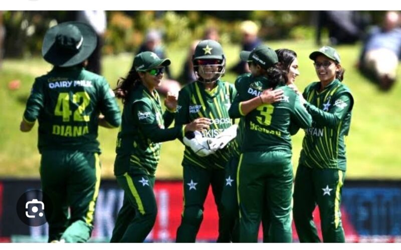 Screenshot_2024-11-20-17-21-46-577_com.google.android.googlequicksearchbox-edit